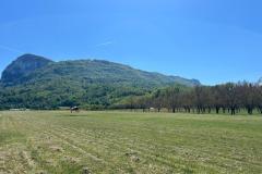 2026-04-25-Sortie-club-St-Jean-62